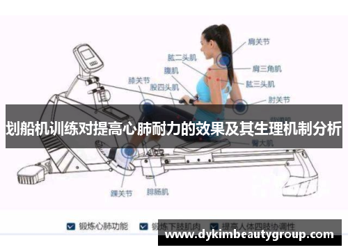 划船机训练对提高心肺耐力的效果及其生理机制分析