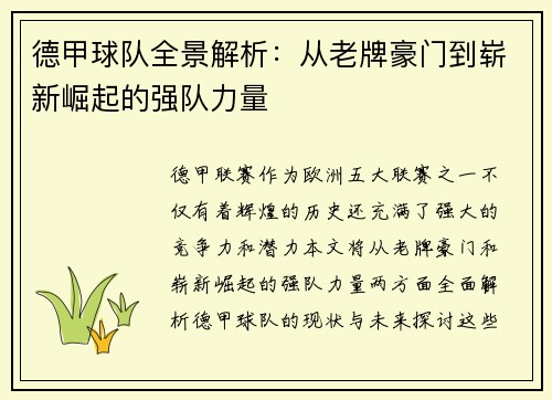 德甲球队全景解析：从老牌豪门到崭新崛起的强队力量