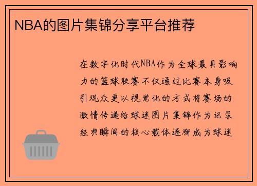 NBA的图片集锦分享平台推荐
